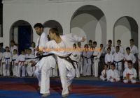 karate (75) (Αντιγραφή)